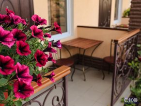 Оазис отель