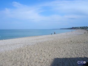 Альбатрос отель