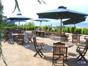 Альбатрос отель