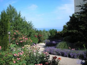 Альбатрос отель