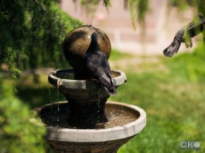 Адмирал отель