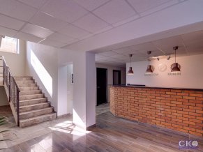 Дублин и Дельфин отель