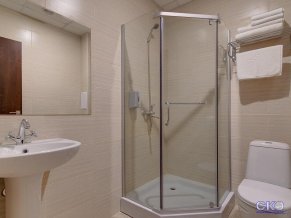 Дублин и Дельфин отель