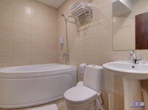 Дублин и Дельфин отель