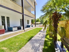 Дублин и Дельфин отель