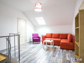 Дублин и Дельфин отель