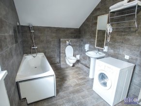 Дублин и Дельфин отель