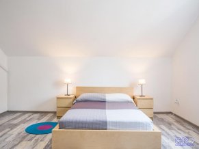 Дублин и Дельфин отель