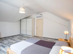 Дублин и Дельфин отель