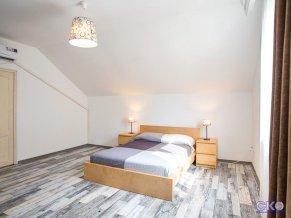 Дублин и Дельфин отель