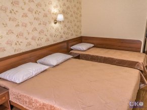Бристон отель