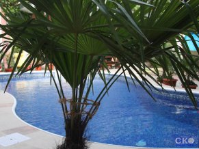 Ани Гостиница