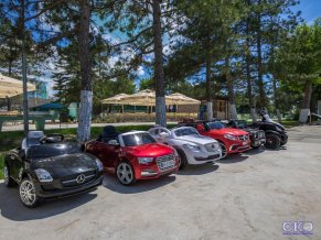 Лазурный берег парк-отель