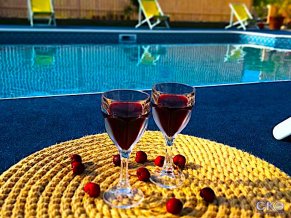 Тропикана Мини-отель