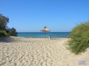 Тропикана Мини-отель