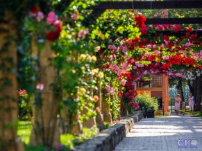 Alean Family Resort and SPA Riviera