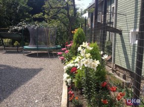 Катюша Гостевой дом