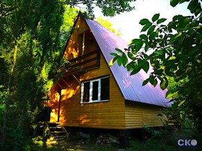 На реке Шаке База отдыха