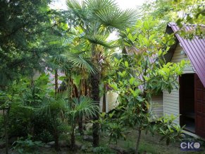 На реке Шаке База отдыха