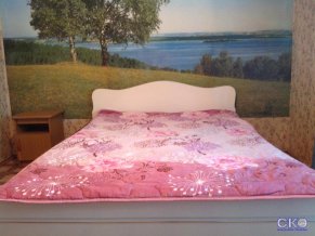 На Медицинской улице Гостевой дом