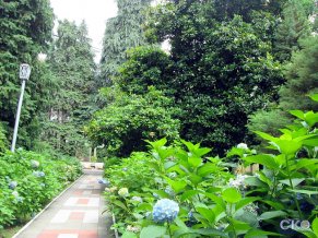 Лазурный берег cанаторий