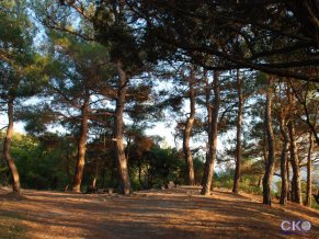 Панорама Гостевой Дом