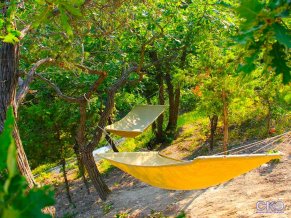 Медовик Гостевой Дом