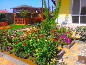 Виола Гостевой дом