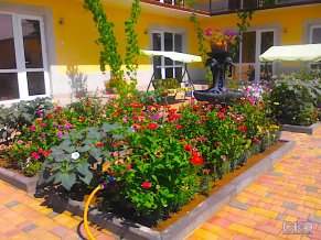 Виола Гостевой дом