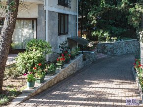 Перелетные птицы отель