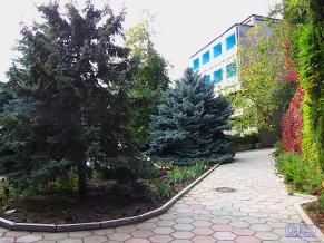 Алупкинский ЦВКС
