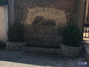 Миракль отель