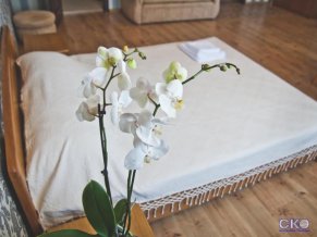 Travel House Гостевой дом