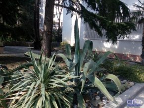 Гостиный Дом отель