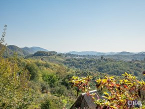 Хеппилинн отель