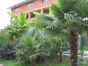 АРИАН Гостевой дом