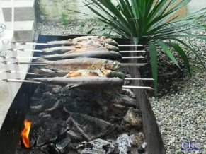 Солнечный Гостевой дом