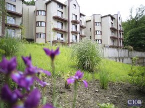 Хобзалэнд Апартаменты