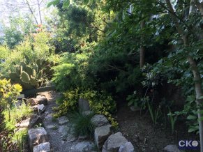 Тропический Сад Гостевой Дом