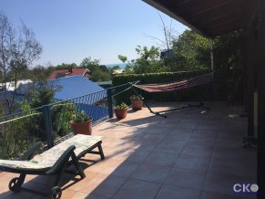 Тропический Сад Гостевой Дом