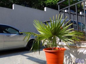 Элина отель