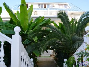 Sochi Green отель