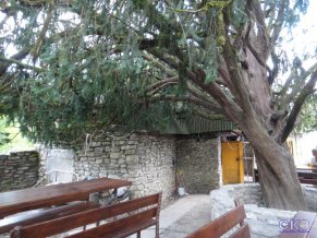 Два Тиса Гостиница