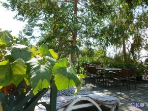 Эвкалипт отель