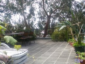 Эвкалипт отель