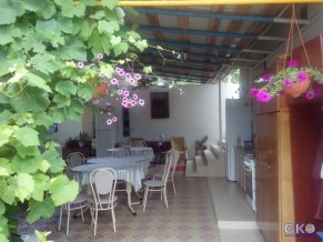 Гусь хрустальный Гостевой дом