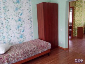 Гусь хрустальный Гостевой дом