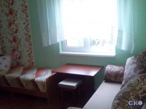 Гусь хрустальный Гостевой дом