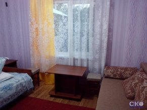 Гусь хрустальный Гостевой дом