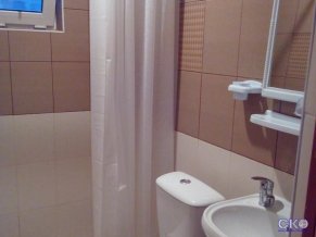 Гусь хрустальный Гостевой дом